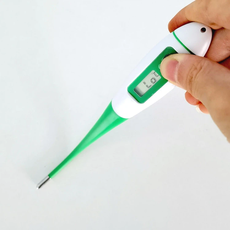 flexible tip of Veterinary thermometer.jpg