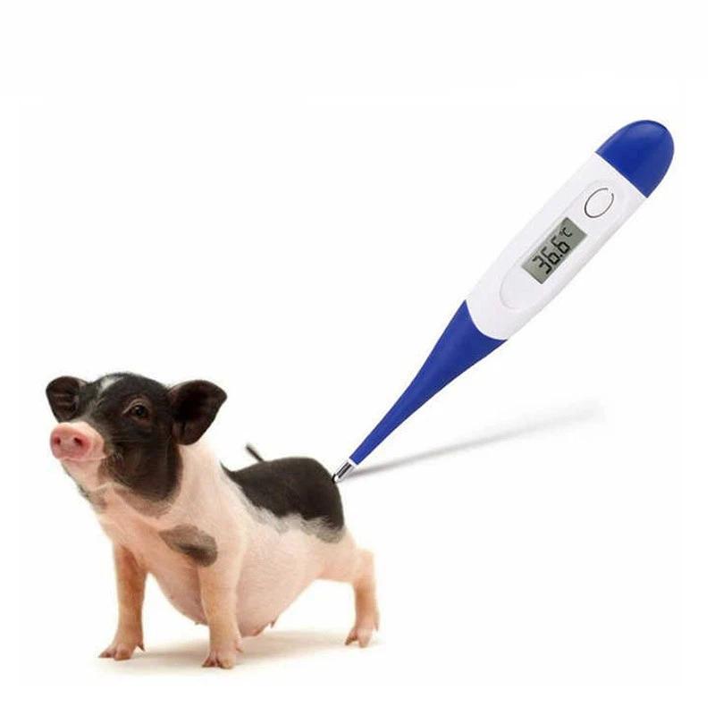 Veterinary Digital Thermometers